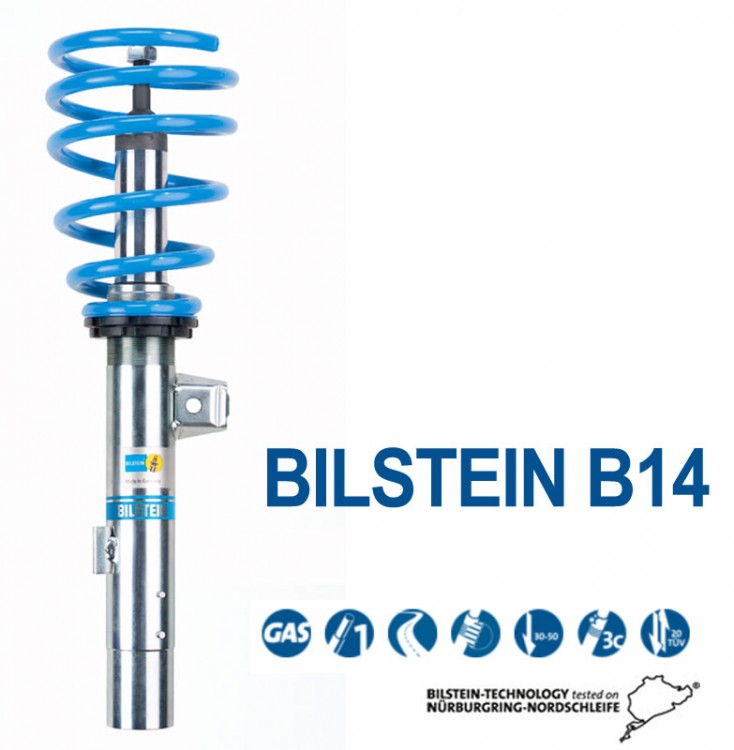 Bilstein pss honda fit #7